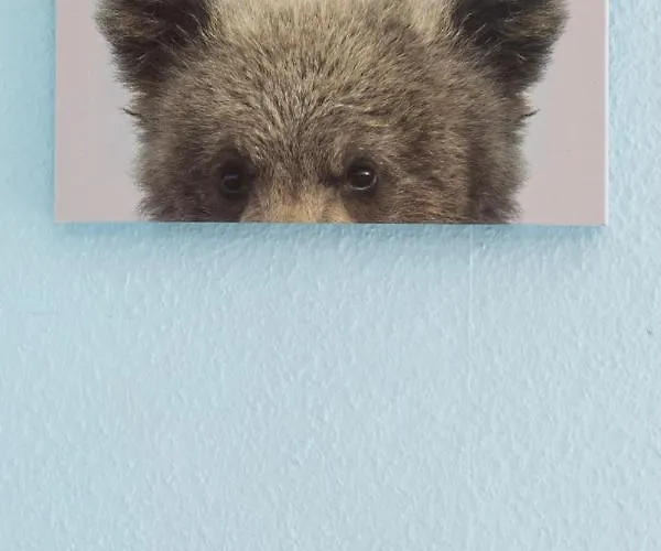 Indamendi - Baskeyrentals זראוטס