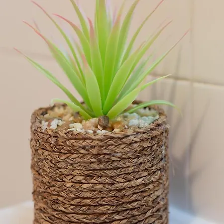 Indamendi - Baskeyrentals * Zarautz