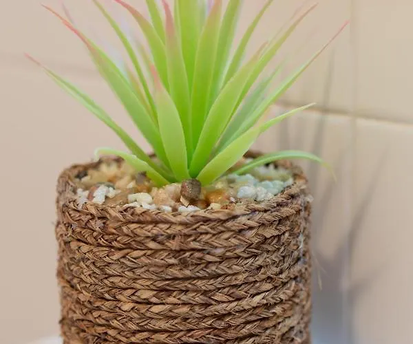 Indamendi - Baskeyrentals * Zarautz